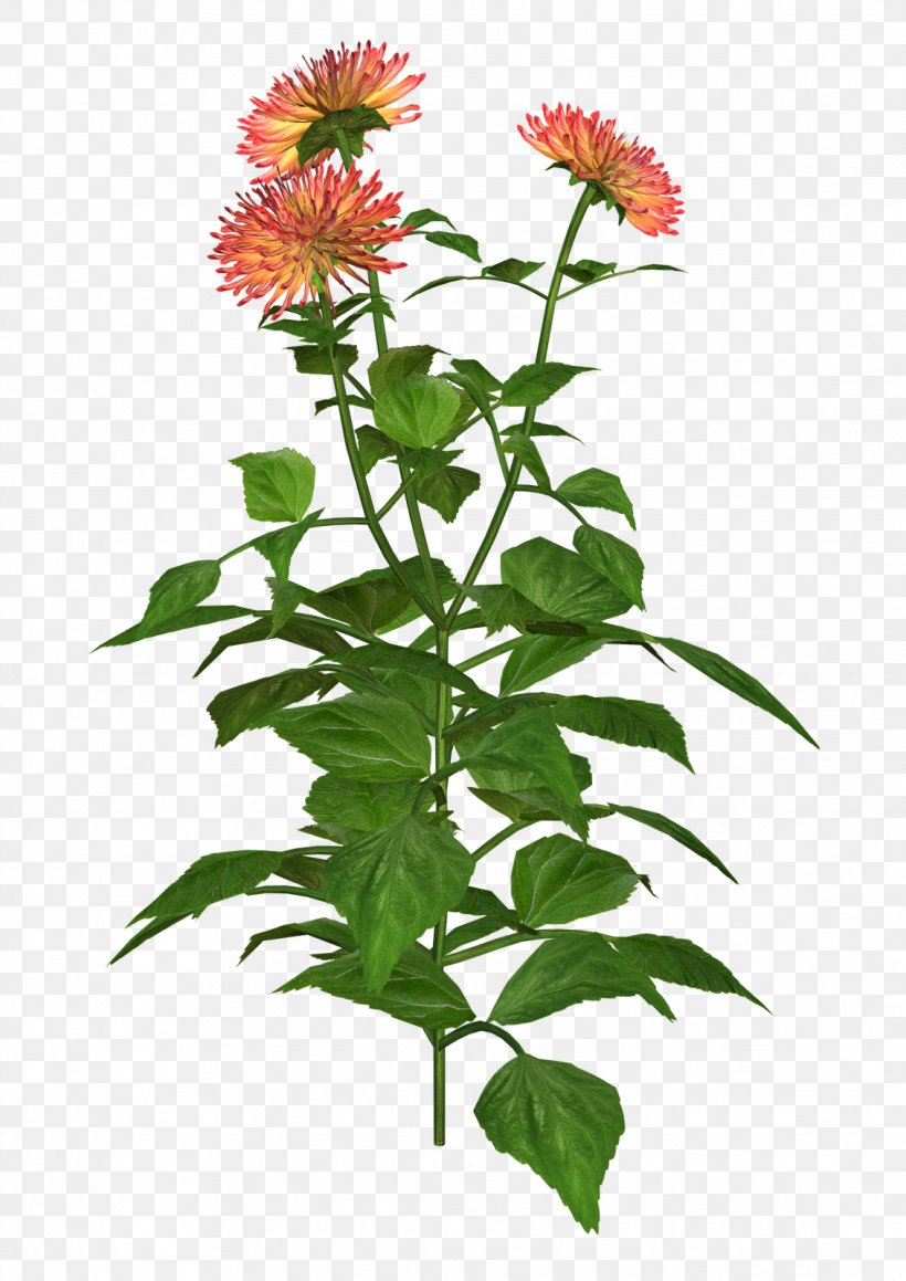 Dahlia Plant Clip Art, PNG, 1132x1600px, Dahlia, Annual Plant, Art, Art Blog, Blog Download Free