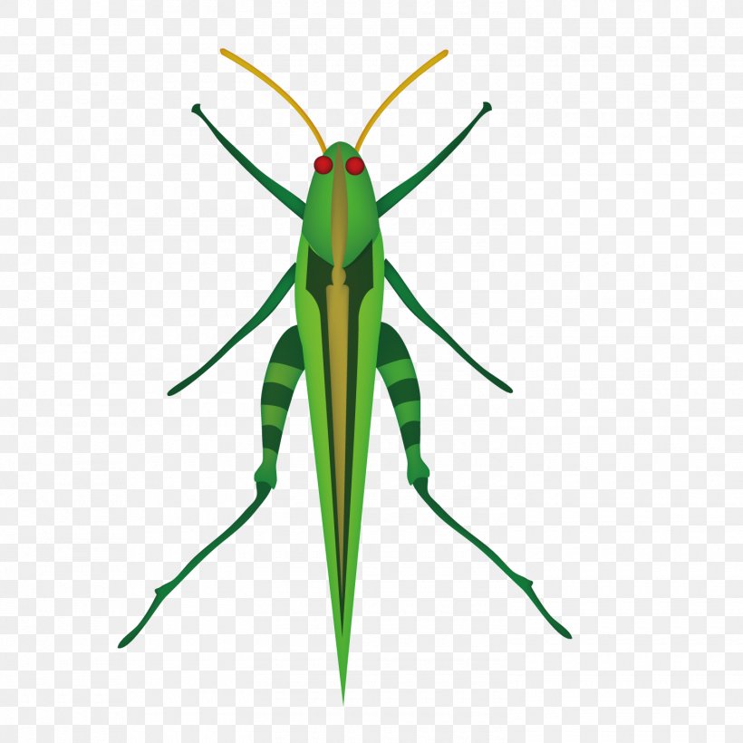 Grasshopper Mosquito Insect Locust Clip Art, PNG, 1500x1501px, Insect, Arthropod, Caelifera, Cicadas, Clip Art Download Free