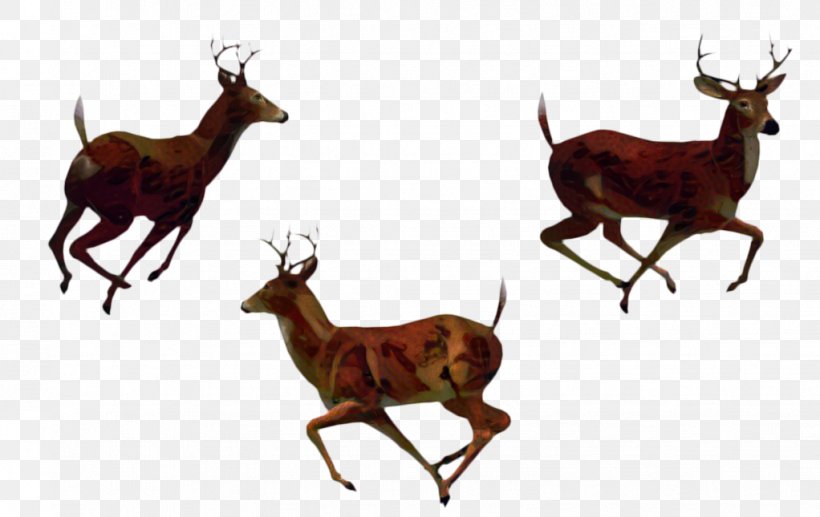 Running Cartoon, PNG, 1022x645px, Elk, Animal, Antelope, Antler, Chamois Download Free