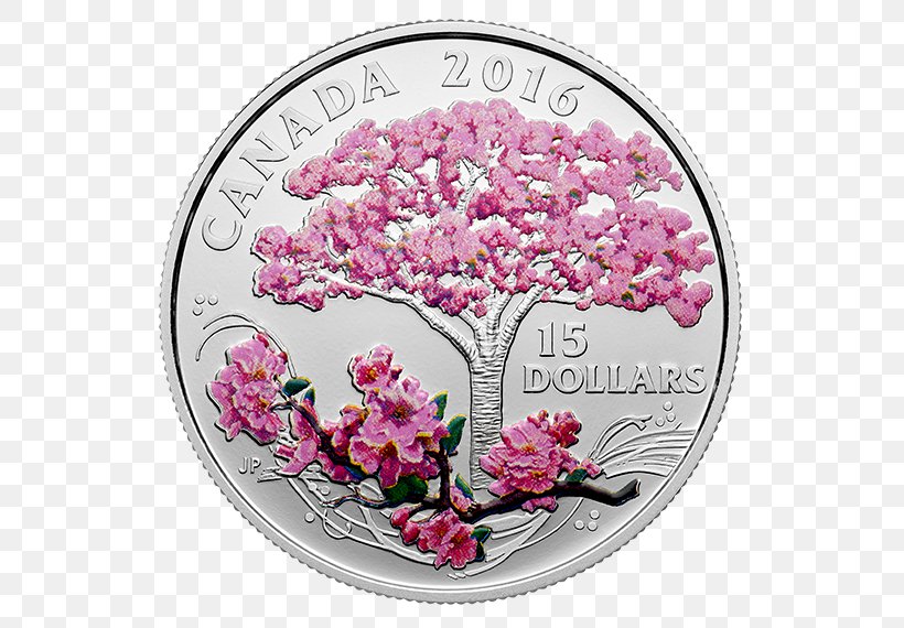 Canada Silver Coin Cherry Blossom Silver Coin, PNG, 570x570px, Canada, Banknote, Blossom, Canadian Dollar, Cherry Download Free