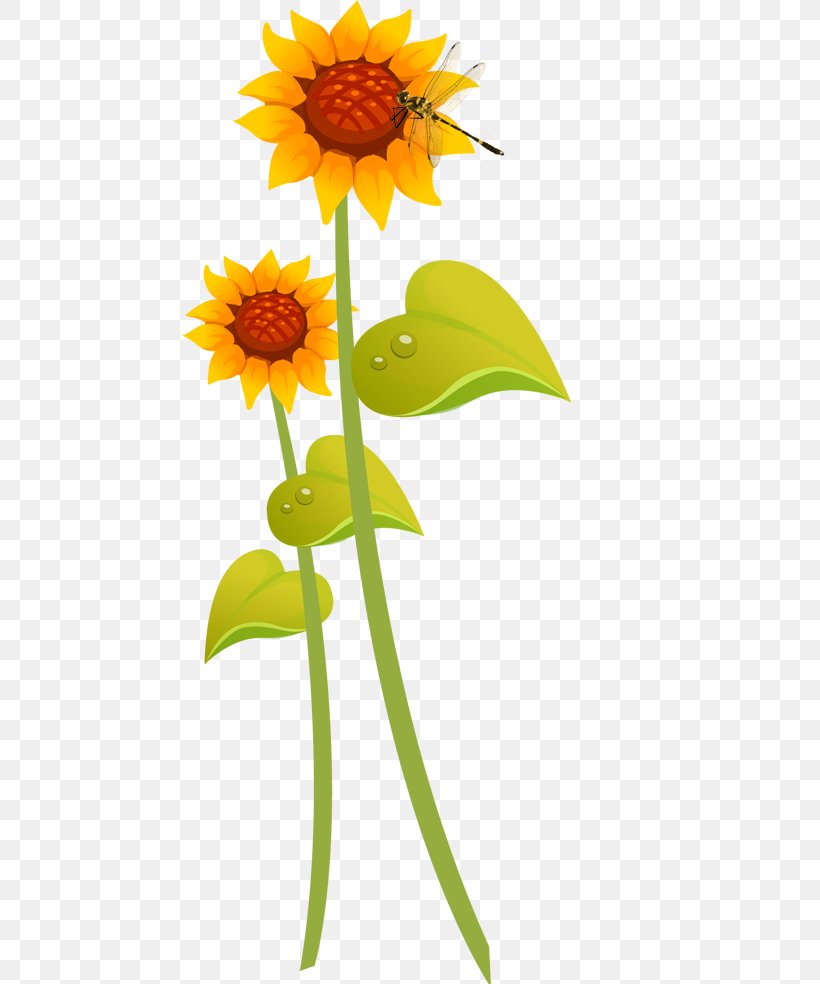 Common Sunflower Cartoon Illustration, PNG, 588x984px, Common Sunflower, Animation, Bigbang, Cartoon, Dahlia Download Free