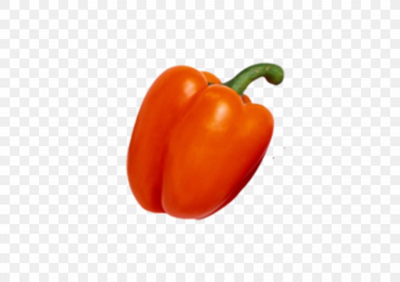 Habanero Bell Pepper Cayenne Pepper Tabasco Pepper Vegetarian Cuisine, PNG, 3508x2480px, Habanero, Bell Pepper, Bell Peppers And Chili Peppers, Capsicum, Capsicum Annuum Download Free