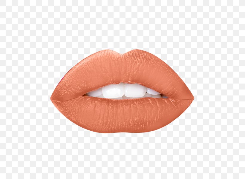 Lipstick Lip Stain Lip Augmentation Makeup Revolution Retro Luxe Matte Lip Kit, PNG, 600x600px, Lip, Cosmetics, Dream, Elf, Eye Download Free