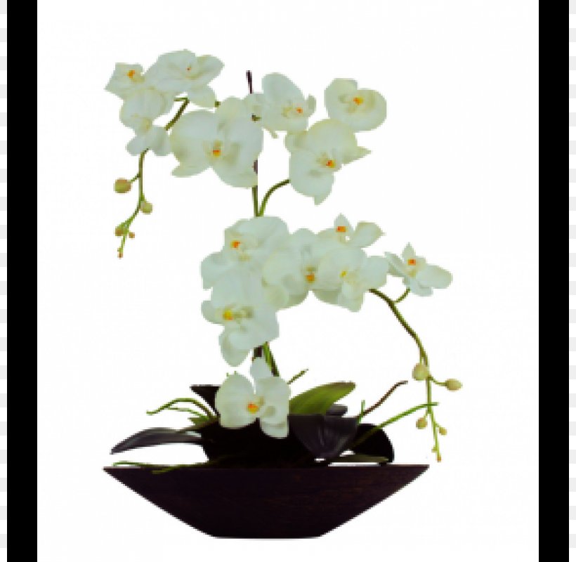 Moth Orchids White Vase Glass, PNG, 800x800px, Moth Orchids, Artificial Flower, Branch, Color, Floral Design Download Free
