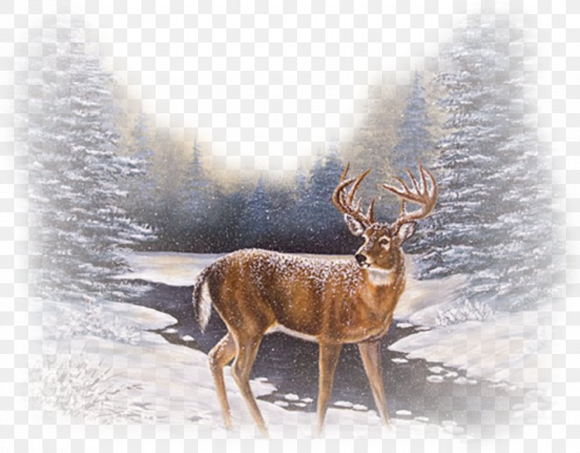 Reindeer Red Deer Winter Snow, PNG, 980x766px, Deer, Alamy, Animal, Antler, Blacktailed Deer Download Free
