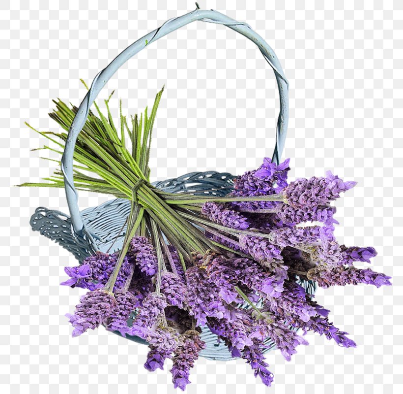 Desktop Wallpaper Flower Blog Lavender, PNG, 791x800px, Flower, Blog, Cut Flowers, Ear, English Lavender Download Free