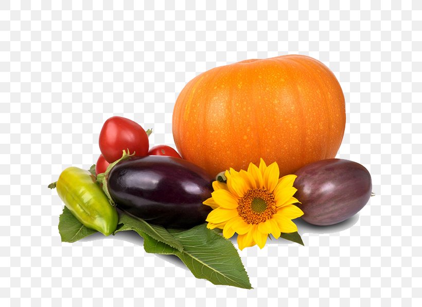 Organic Food Vegetarian Cuisine Health Diet Veganism, PNG, 650x598px, Organic Food, Calabaza, Cooking, Cucumber Gourd And Melon Family, Cucurbita Download Free