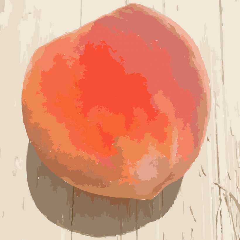 Peach Fruit Missouri Clip Art, PNG, 2400x2400px, Peach, Ameixeira, Drawing, Fruit, Fruit Tree Download Free