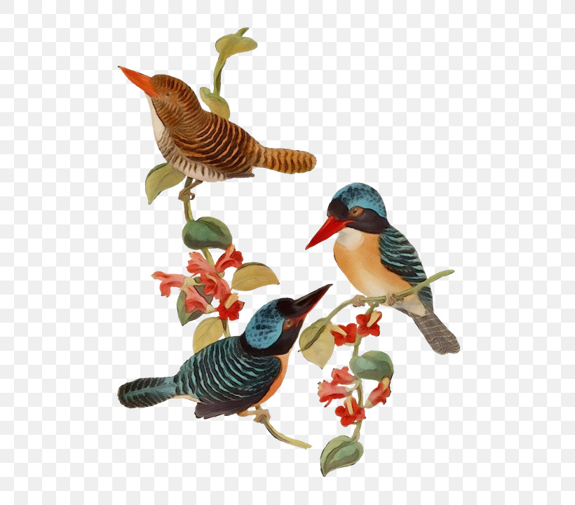 Hummingbird, PNG, 663x720px, Watercolor, Animal Figure, Beak, Bird, Coraciiformes Download Free