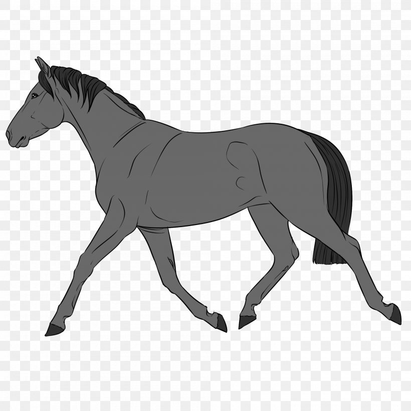 Mule Foal Mustang Stallion Rein, PNG, 2000x2000px, Mule, Animal Figure, Black, Black And White, Black M Download Free