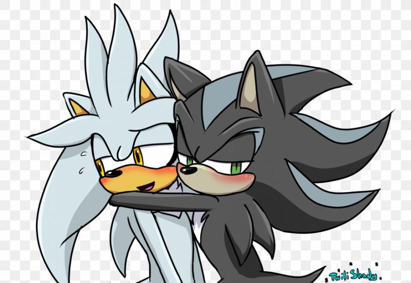 Tails Amy Rose Mephiles The Dark Silver The Hedgehog Shadow The Hedgehog, PNG, 900x621px, Watercolor, Cartoon, Flower, Frame, Heart Download Free
