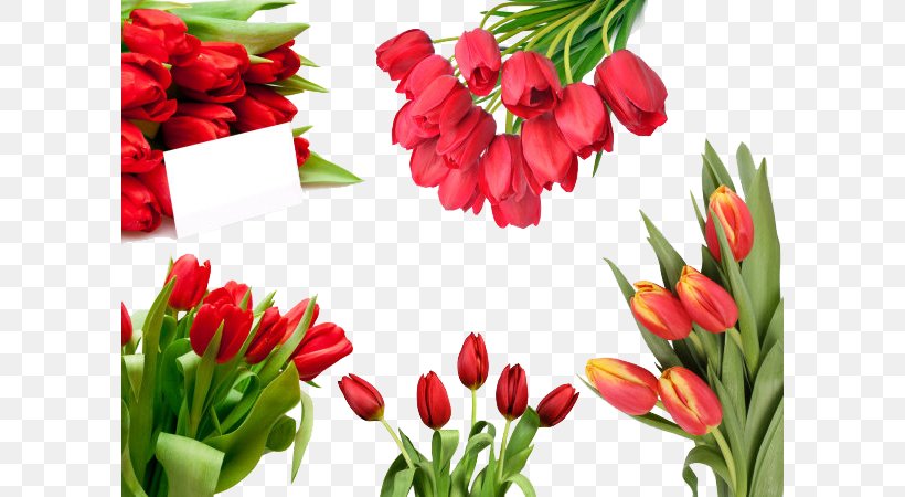 Tulip Flower Bouquet Nosegay, PNG, 600x450px, Tulip, Cut Flowers, Floral Design, Floristry, Flower Download Free
