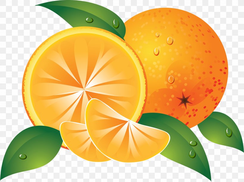 Orange Fruit Clip Art, PNG, 3816x2848px, Orange, Bitter Orange, Citric Acid, Citrus, Clementine Download Free
