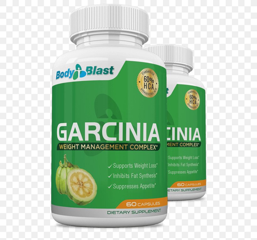 Dietary Supplement Garcinia Cambogia Weight Loss Green Tea, PNG, 540x766px, Dietary Supplement, Brand, Coffee Bean, Denmark, Diet Download Free