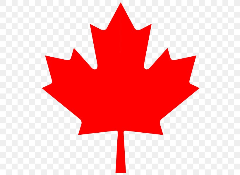 Flag Of Canada Maple Leaf 150th Anniversary Of Canada, PNG, 562x599px, 150th Anniversary Of Canada, Canada, Cryptocurrency Wallet, Flag, Flag Of Canada Download Free