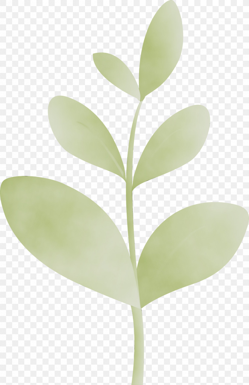 Leaf Green Plant Flower Tree, PNG, 1941x3000px, Sprout, Bud, Flower, Flush, Green Download Free