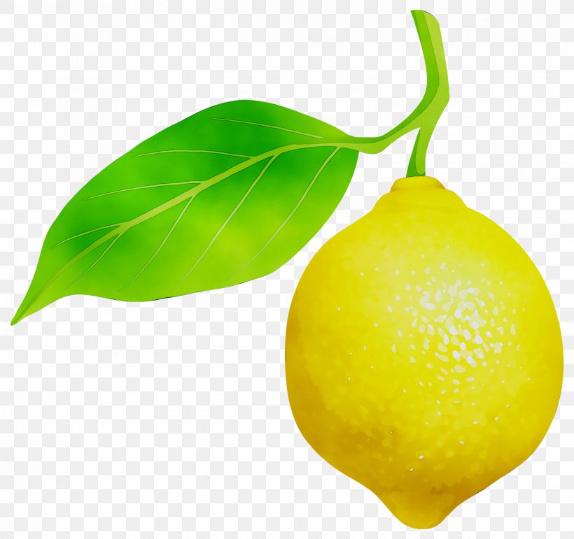 Sweet Lemon Key Lime Citron, PNG, 2479x2333px, Lemon, Citric Acid, Citron, Citrus, Flower Download Free