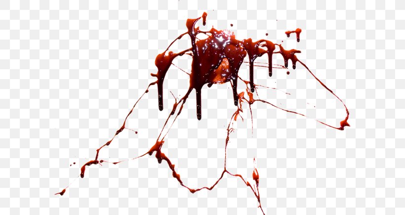 Blood Clip Art, PNG, 600x435px, Blood, Ant, Arthropod, Branch, Display Resolution Download Free