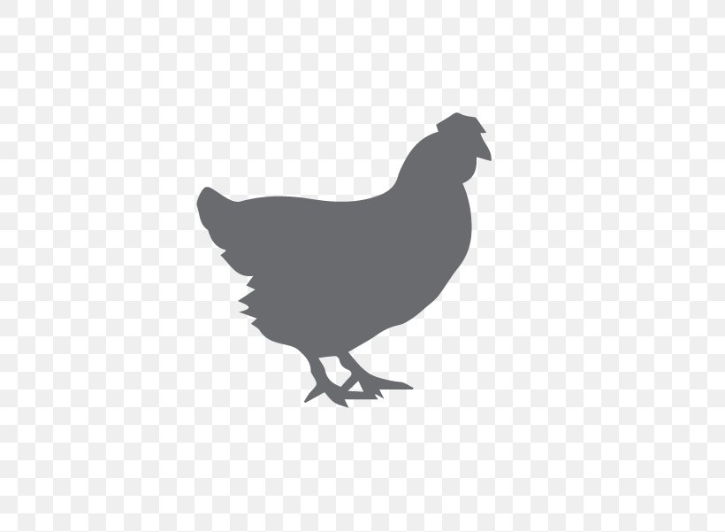 Orpington Chicken Barbecue Chicken Broiler Poultry, PNG, 601x601px, Orpington Chicken, Barbecue, Barbecue Chicken, Beak, Bird Download Free