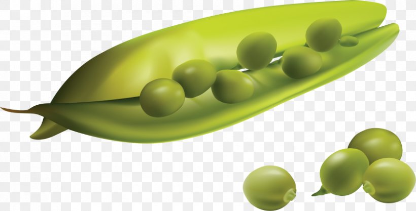 Pea Vegetable Vector Graphics Image, PNG, 850x433px, Pea, Bean, Commodity, Common Bean, Food Download Free