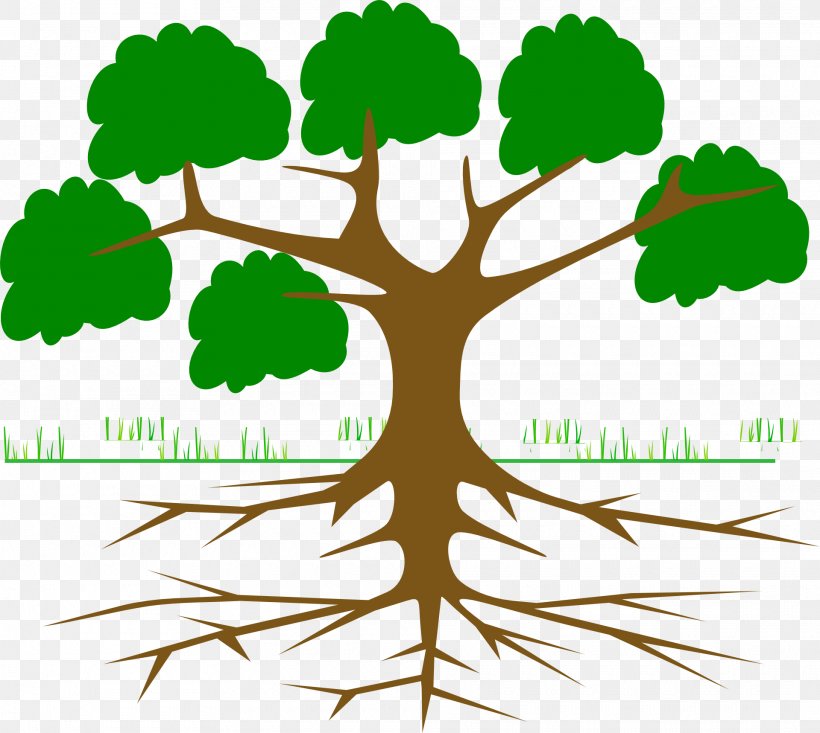 Root Tree Clip Art, PNG, 1920x1718px, Root, Branch, Diagram, Drawing, Family Tree Download Free