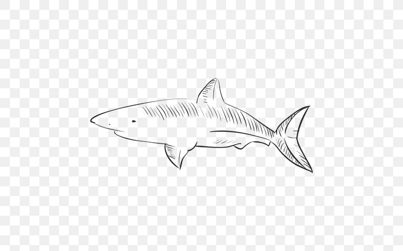 Tiger Shark Squaliformes /m/02csf Line Art Drawing, PNG, 512x512px, Tiger Shark, Artwork, Automotive Design, Biology, Black And White Download Free