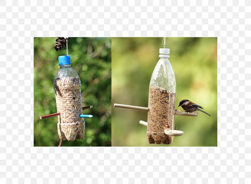 Bird Feeders Plastic Bottle Bird Feeding Bottle Recycling, PNG, 600x600px, Bird, Bird Feeder, Bird Feeders, Bird Feeding, Bird Food Download Free