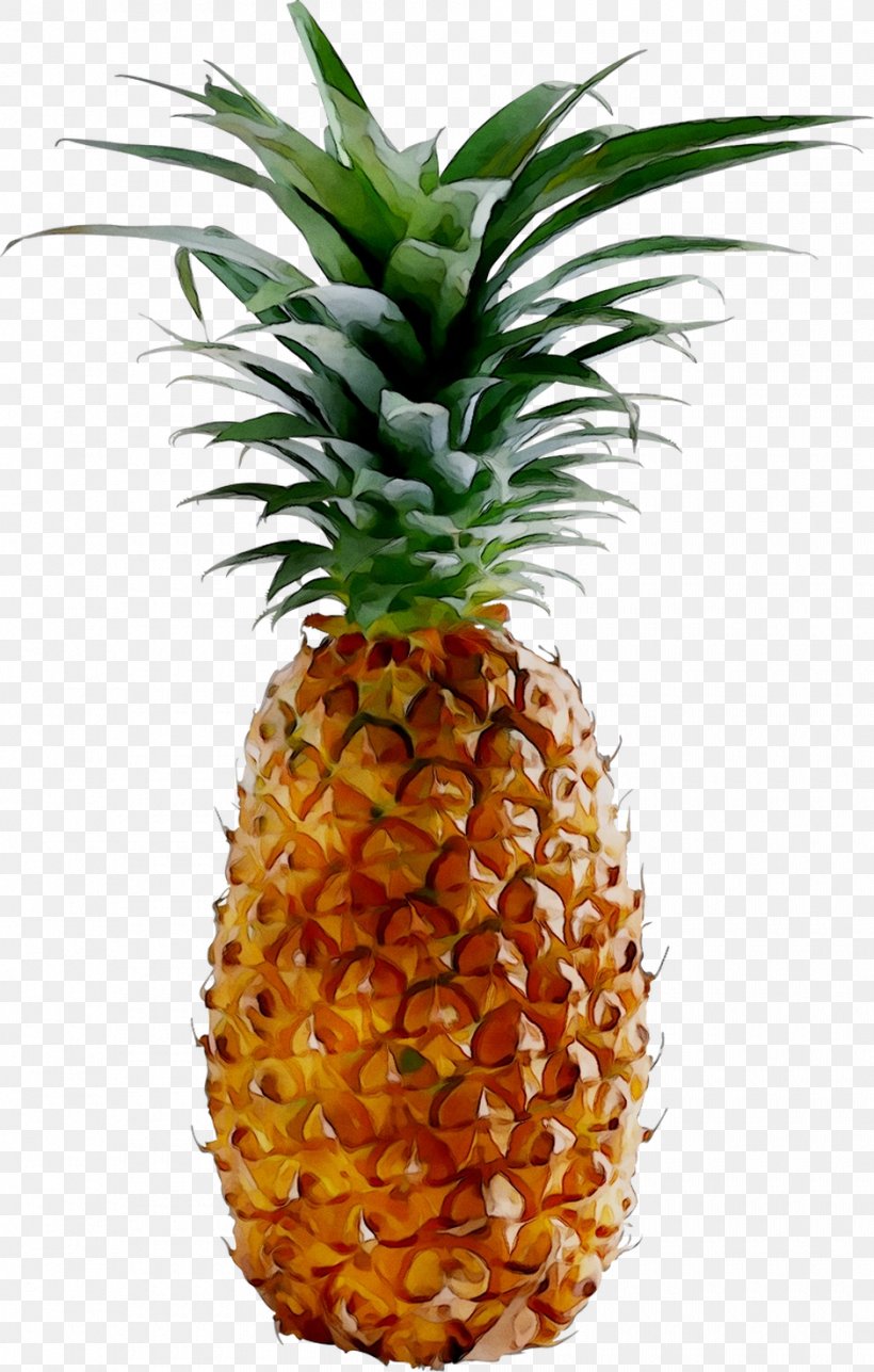 Pineapple Kiwifruit Stock Photography Lemon, PNG, 940x1476px, Pineapple, Ananas, Bromeliaceae, Depositphotos, Flowering Plant Download Free