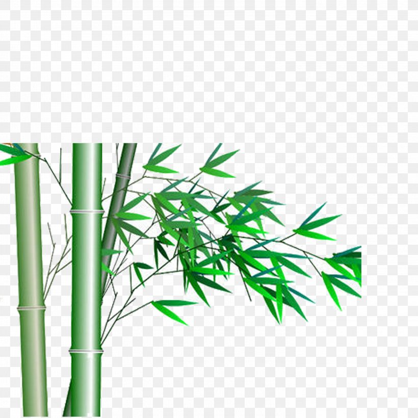 Bamboo Icon, PNG, 2953x2953px, Bamboo, Chrysanthemum, Computer Graphics, Energy, Grass Download Free