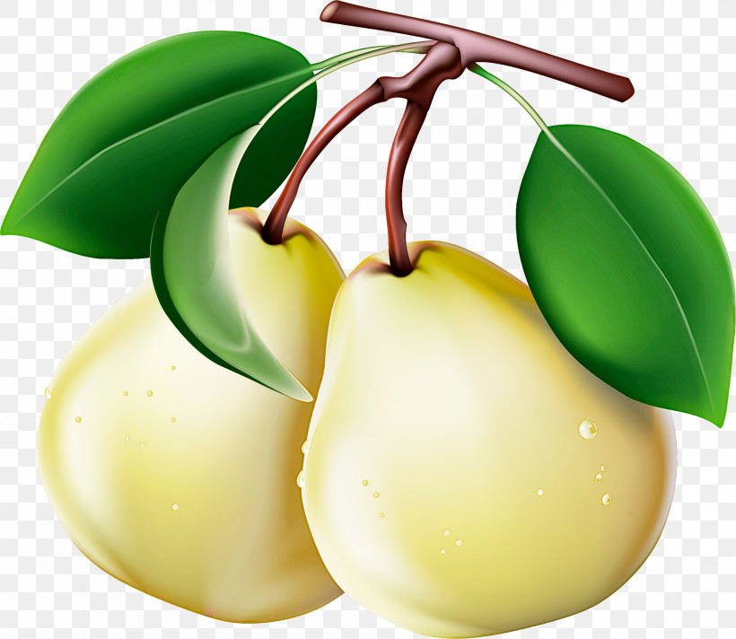 Fruit Tree, PNG, 2000x1738px, Fruit Tree, Asian Pear, Flower, Food, Fruit Download Free