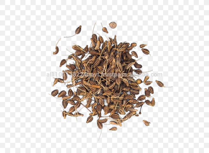 Anise Spice Oil Fennel Herb, PNG, 600x600px, Anise, Commodity, Cumin, Essential Oil, Export Download Free