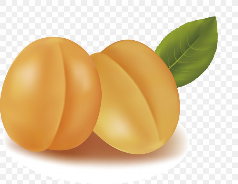 Apricot Android, PNG, 2170x1679px, Learn French, Android, Apricot, Auglis, Commodity Download Free