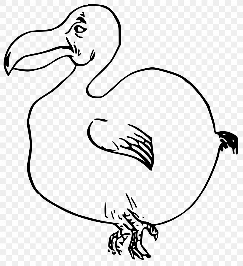 Bird Dodo Clip Art, PNG, 2195x2400px, Watercolor, Cartoon, Flower, Frame, Heart Download Free