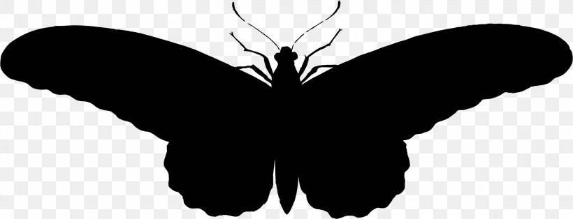 Butterfly Silhouette, PNG, 2312x888px, Butterfly, Art, Arthropod, Black, Black And White Download Free