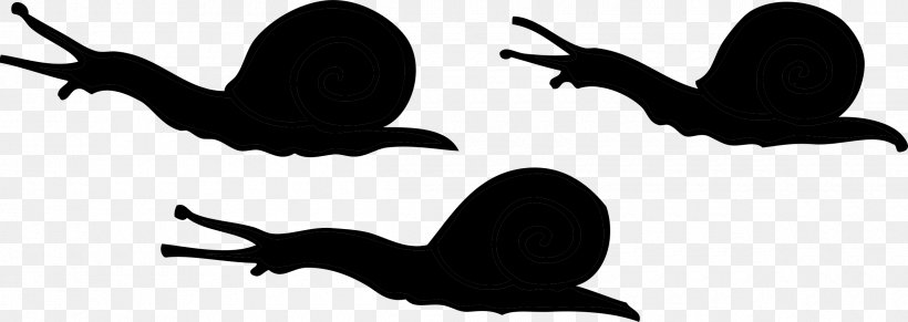 Beak Clip Art Silhouette Line Fauna, PNG, 2400x852px, Beak, Fauna, Landfowl, Molluscs, Silhouette Download Free