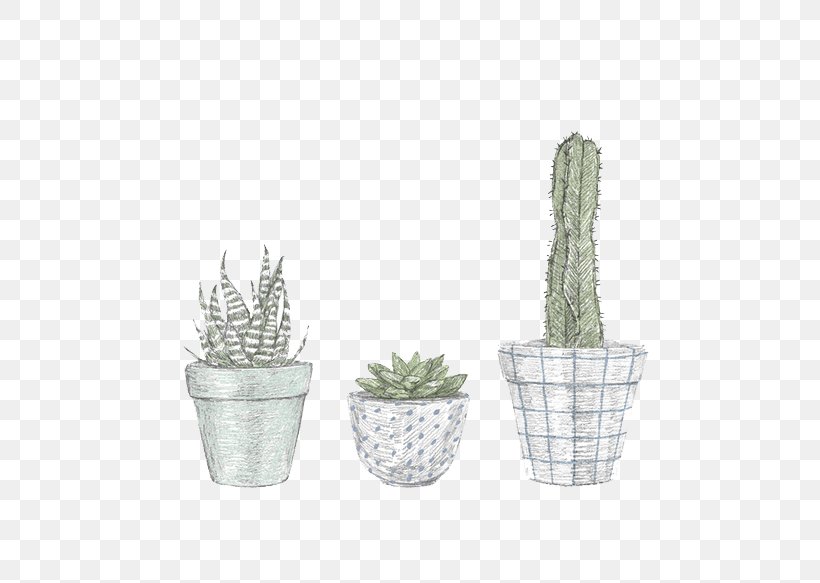 Cactaceae Illustrator Drawing Illustration, PNG, 658x583px, Cactaceae, Apache Maven, Cactus, Designer, Drawing Download Free