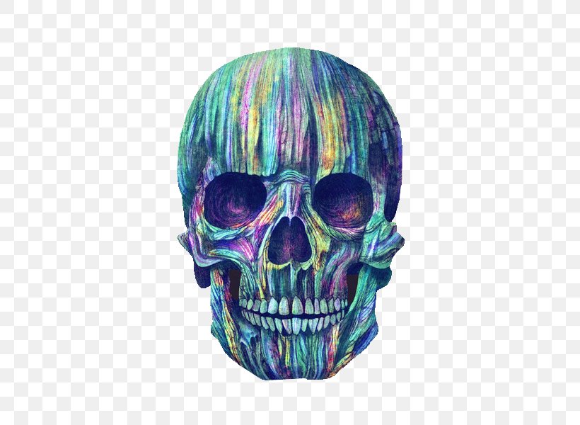 Human Skull Symbolism Color Calavera Skeleton, PNG, 424x600px, Skull, Art, Bone, Calavera, Color Download Free
