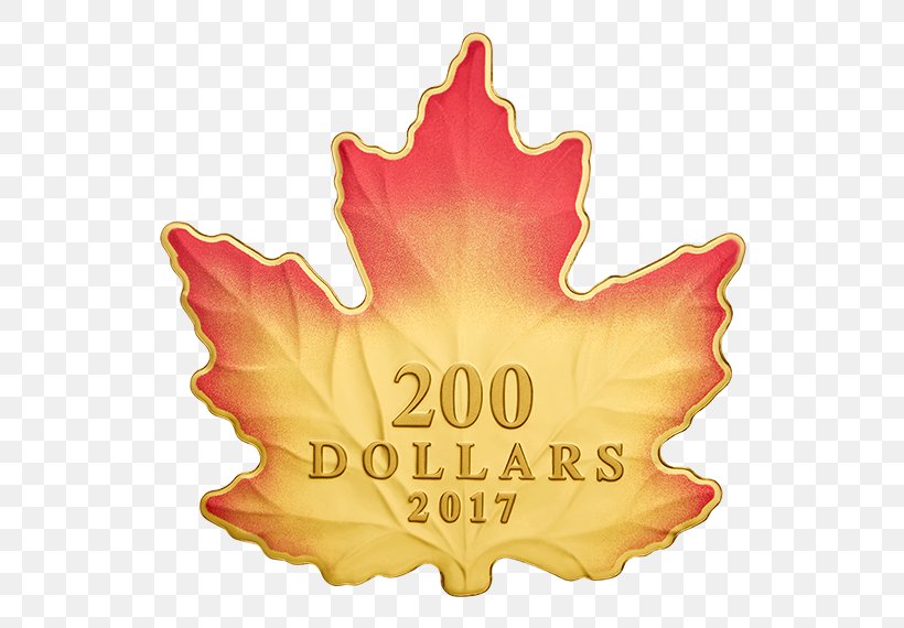 150th Anniversary Of Canada Canadian Gold Maple Leaf, PNG, 570x570px, 150th Anniversary Of Canada, Canada, Canadian Gold Maple Leaf, Canadian Maple Leaf, Canadian Silver Maple Leaf Download Free