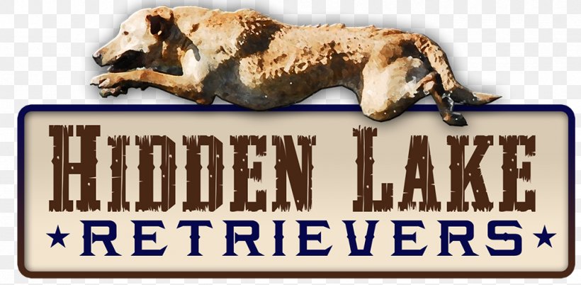 Anderson Labrador Retriever Hidden Lake Lane Brazosport, PNG, 1019x500px, Anderson, Advertising, Brand, Breeder, Carnivoran Download Free