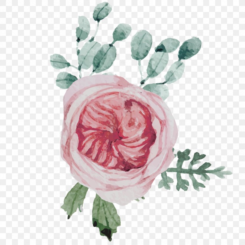 Garden Roses Flower Floral Design Centifolia Roses, PNG, 1170x1170px, Garden Roses, Blog, Centifolia Roses, Cut Flowers, Floral Design Download Free