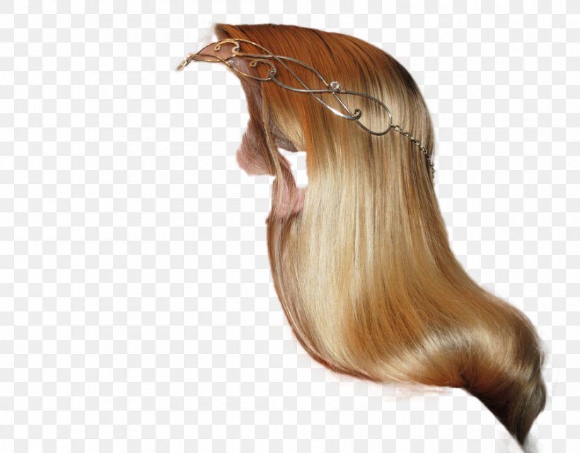 Wig Long Hair Hair Coloring, PNG, 900x703px, Wig, Blogger, Brown Hair, Hair, Hair Coloring Download Free