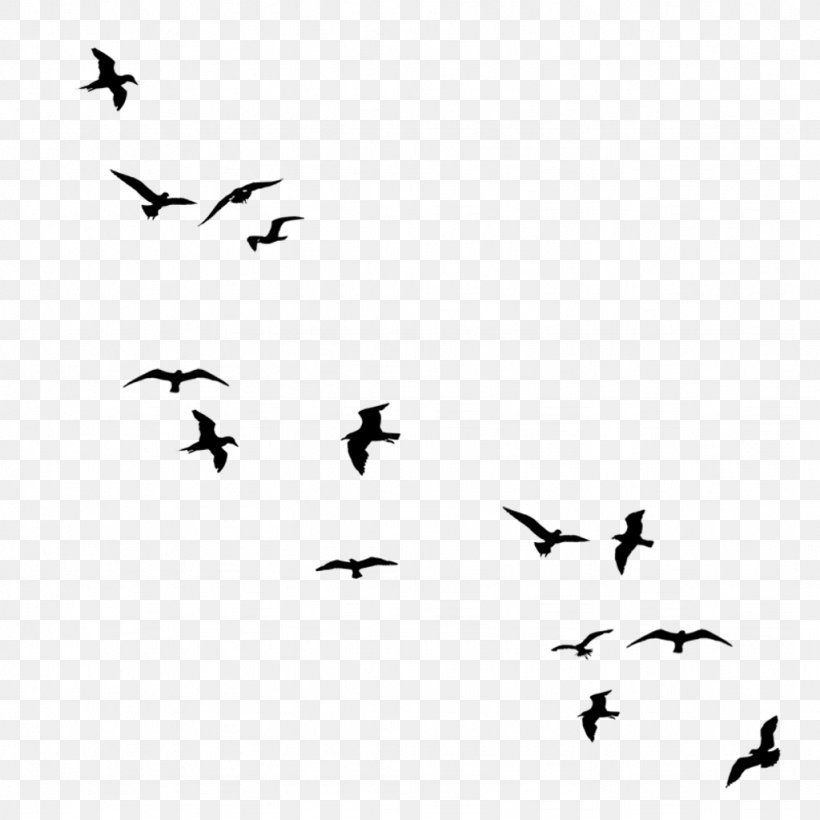 Bird Flight Silhouette Drawing Flock, PNG, 1024x1024px, Bird, Animal Migration, Beak, Bird Flight, Bird Migration Download Free