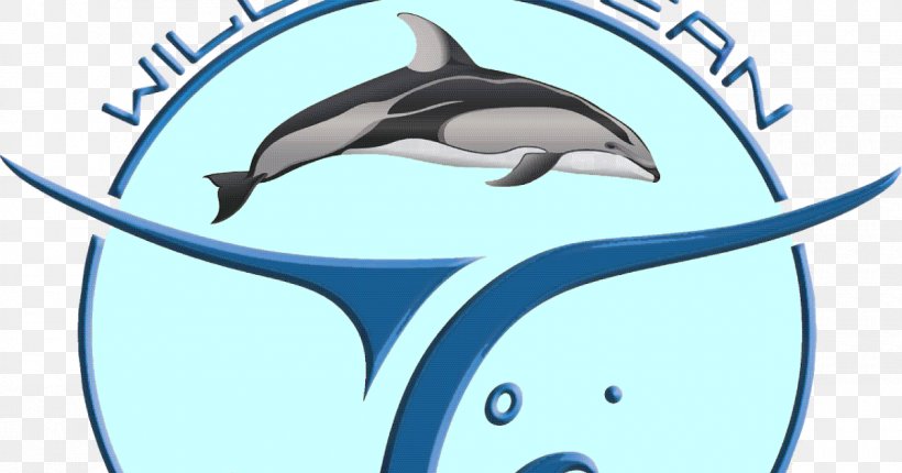 Common Bottlenose Dolphin Cartoon Line Clip Art, PNG, 1200x630px, Common Bottlenose Dolphin, Artwork, Bottlenose Dolphin, Cartoon, Dolphin Download Free