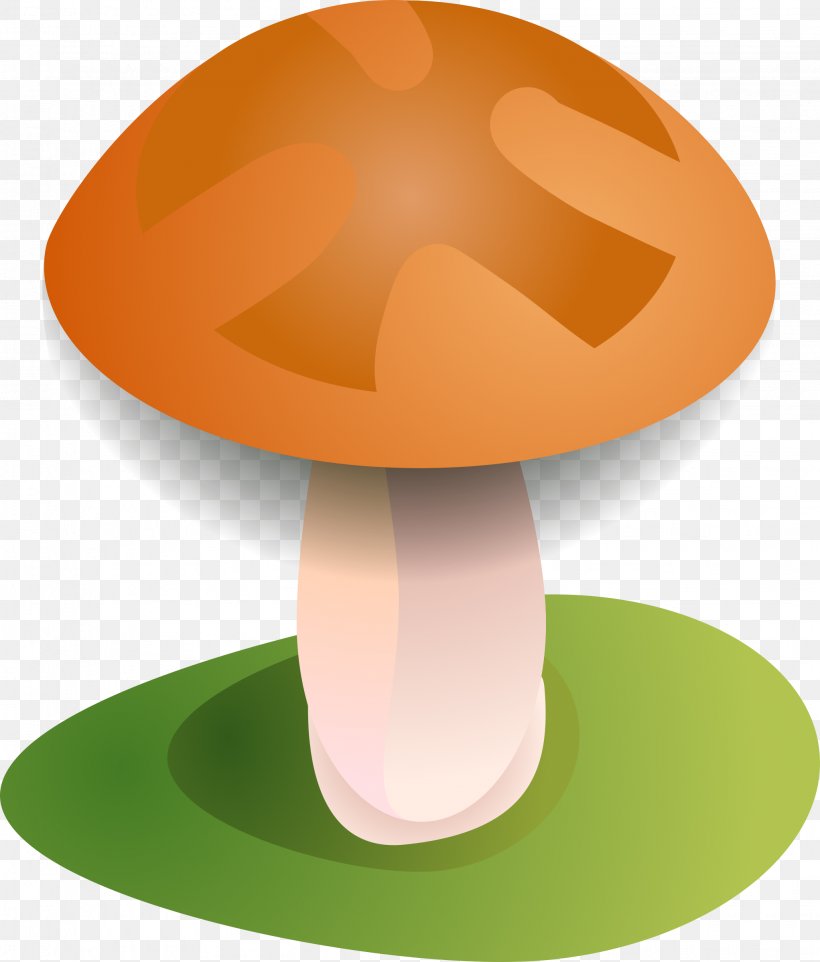 Amanita Muscaria Mushroom Fungus Agaric, PNG, 2044x2400px, Amanita Muscaria, Agaric, Amanita, Clathrus Ruber, Common Mushroom Download Free