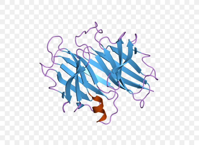 Familial Amyloid Polyneuropathy Transthyretin Fibril Amyloidosis, PNG, 800x600px, Amyloid, Amyloidosis, Art, Cerebrospinal Fluid, Chromosome 18 Download Free