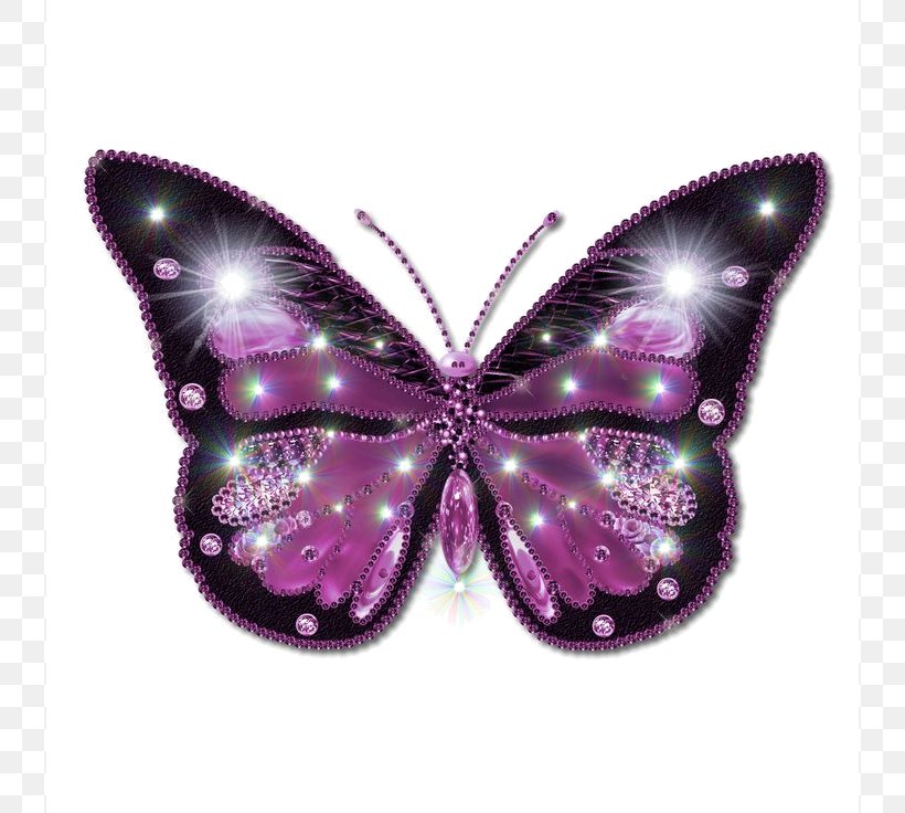 Butterfly Image File Formats Clip Art, PNG, 736x736px, Butterfly, Brush Footed Butterfly, Image File Formats, Image Resolution, Insect Download Free