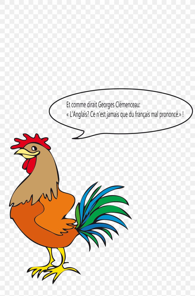 Rooster French Language English Vocabulary, PNG, 1305x1980px, Rooster, Animal Figure, Area, Art, Beak Download Free