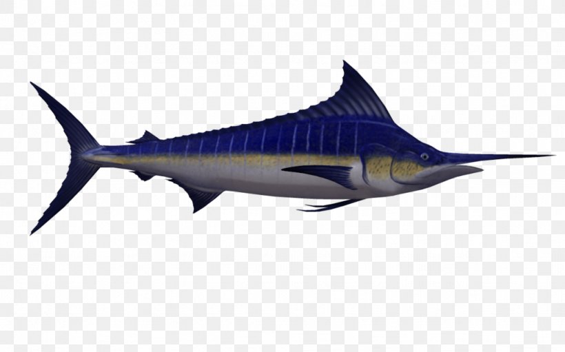Swordfish Marlin Fishing, PNG, 1024x639px, Swordfish, Atlantic Blue Marlin, Biggame Fishing, Billfish, Bony Fish Download Free