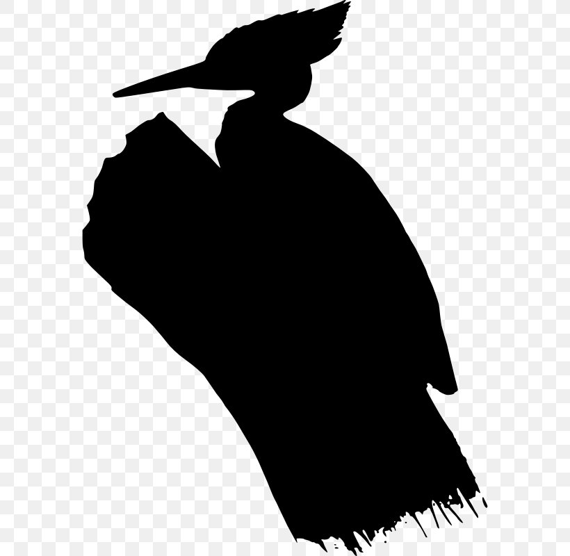 Beak Clip Art Silhouette Black M, PNG, 584x800px, Beak, Bird, Black M, Blackandwhite, Silhouette Download Free