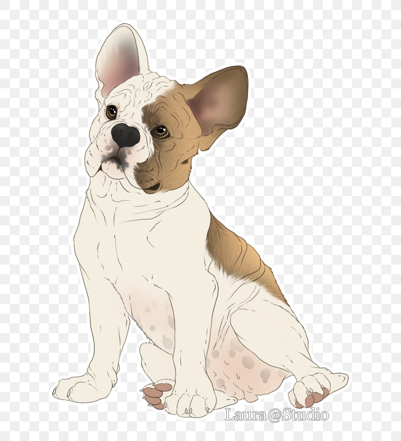 French Bulldog Toy Bulldog Puppy Dog Breed, PNG, 700x900px, French Bulldog, Breed, Bulldog, Carnivoran, Companion Dog Download Free